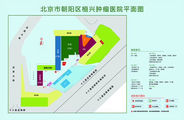 操逼好爽啊啊啊插我91北京市朝阳区桓兴肿瘤医院平面图